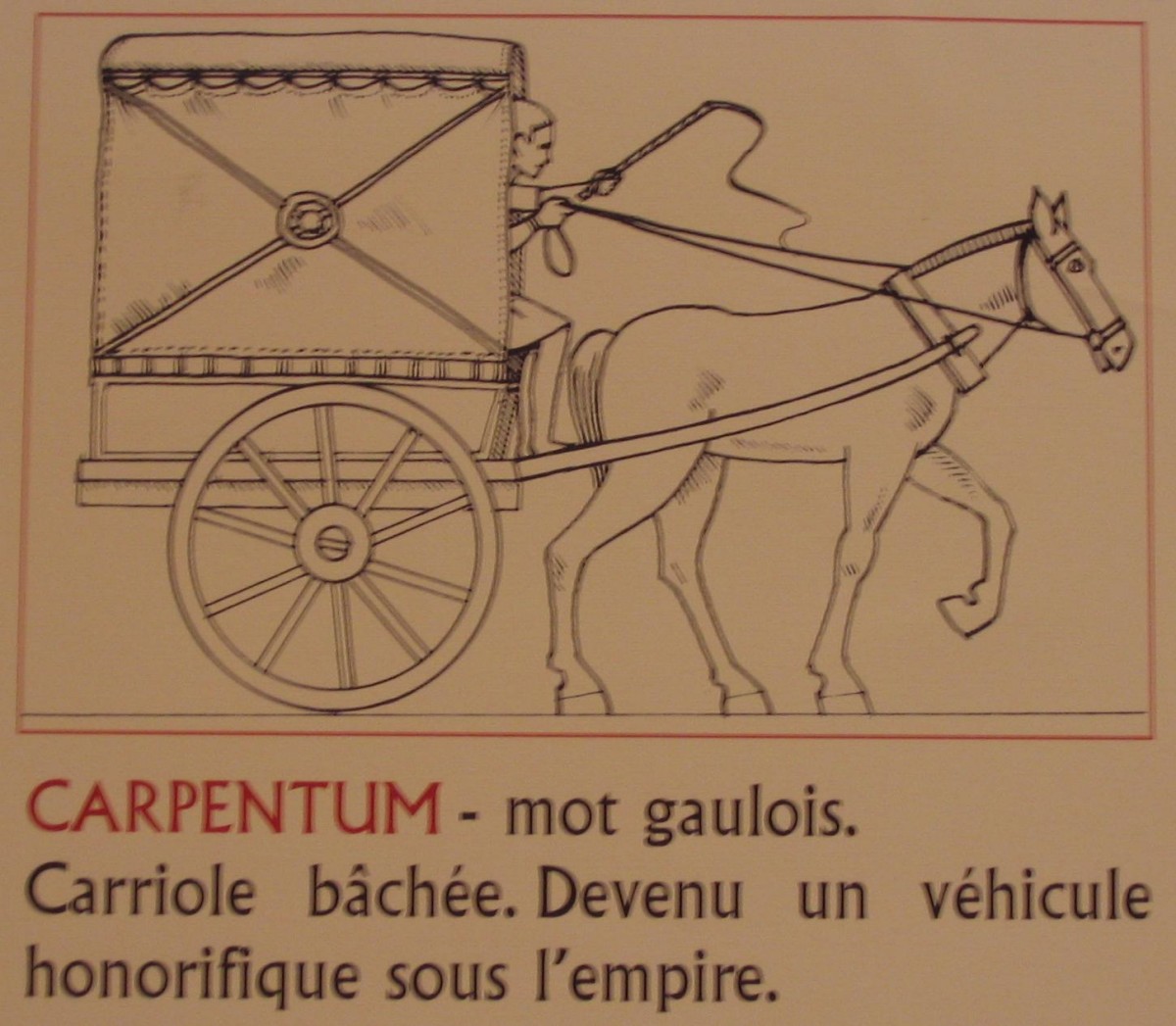 schema carpentum.jpg